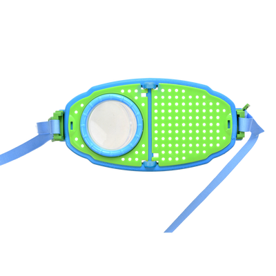 Caja de Estudio de Insectos L